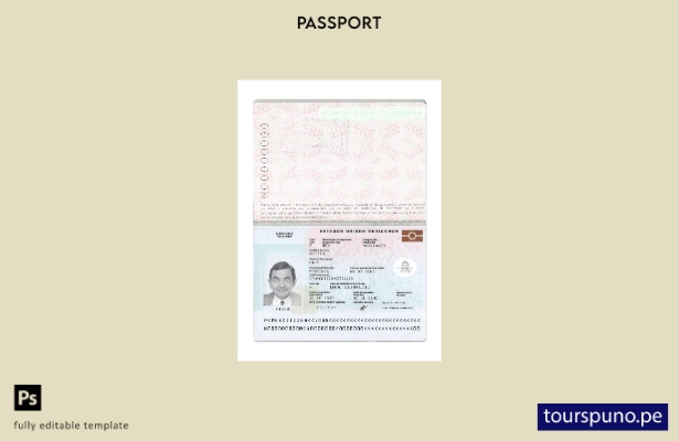 listo para imprimir pasaporte de México nueva plantilla actual